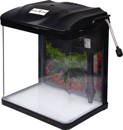 Brecken Paul 6 litres with LED light and Hood Filter Rectangle Aquarium Tank