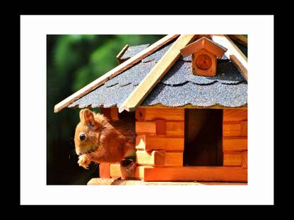ravgar Squirrel Rodent coming out of its Beautiful House Canvas Painting Wall Art [16 x 20 inch] Framed Cotton Fine Grain Primed Canvas Board (Set of 1)