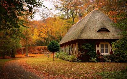 A HOME NATURE POSTER Paper Print
