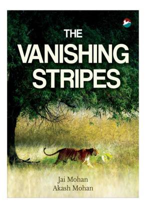 The Vanishing Stripes