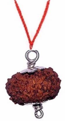 AJ 14 Mukhi Nepali Siddha Rudraksha Pendent With IGL Certified Silk Dori Pendant