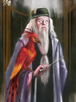 ravgar Harry Potter - Albus Dumbledore And His Bird Phoenix Canvas Painting Wall Art [12 x 16 inch] UnFramed Canvas 16 inch x 12 inch Painting