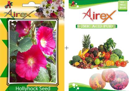 Airex Hollyhock Winter Flower Seeds + Humic Acid Fertilizer (For Growth of All Plant and Better Responce) 15 gm Humic Acid + 20 Seeds Per Packet Seed