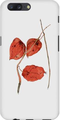 AMEZ Back Cover for OnePlus 5