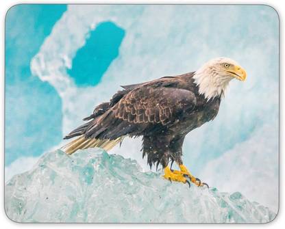 Digiclan Snow Vulture Non Slip Base Mousepad