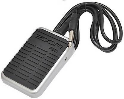 ZOOM Zoom FS01 Momentary Foot Switch Knobs