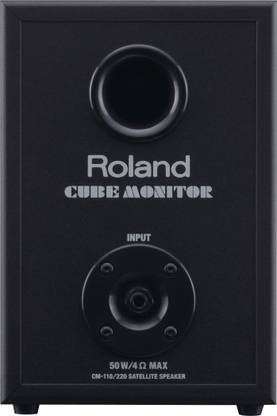 Roland Roland CM-220 Cube Monitor Guitar Processor