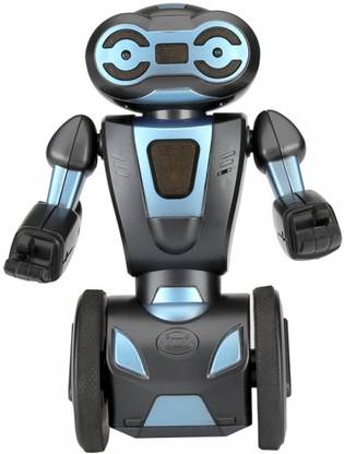 WISHKEY Self Balancing Smart Remote Control Stunt Robot Toy