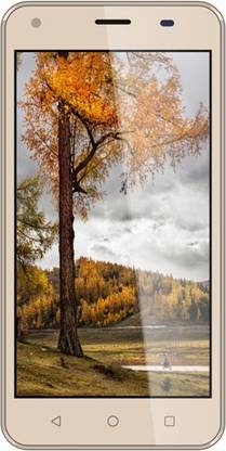 Ziox Astra 4G (Champagne, 8 GB)