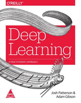 Deep Learning: A Practitioner's Approach