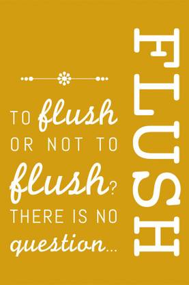 Flush poster Paper Print