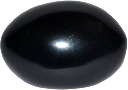 Real Seed Shaligram Shala Sarvottamii Gandaki River Natural A++ Quality Decorative Showpiece  -  3 cm