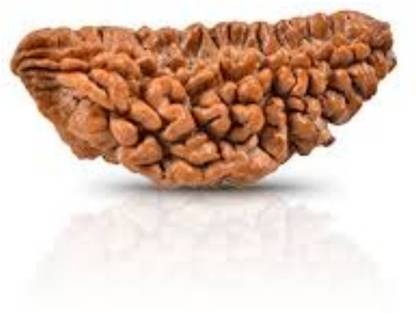 AJ 100% Original One Face Rudraksha ( 1 Mukhi Rudraksh ) 22 M.M Silk Dori