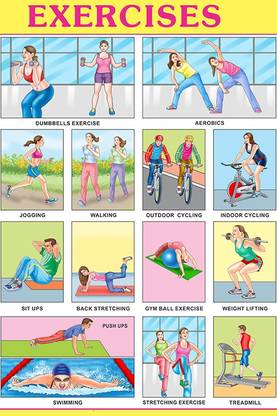 Poster | Exercise Name Poster | Educational Poster | Physical Poster | Colorful – Gym Room Poster Paper Print