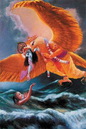 garuda bird Poster Paper Print