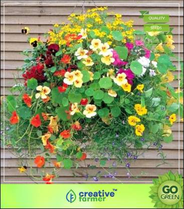 creative farmer Best Plants For Hanging Baskets Flower Seeds Gardening Creepers And Climbers Plants Seed