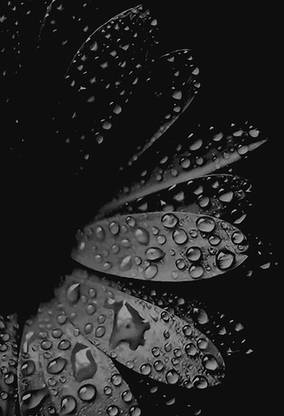 Digital Painting water drops Poster Wallpaper on fine art paper 13x19 Fine Art Print