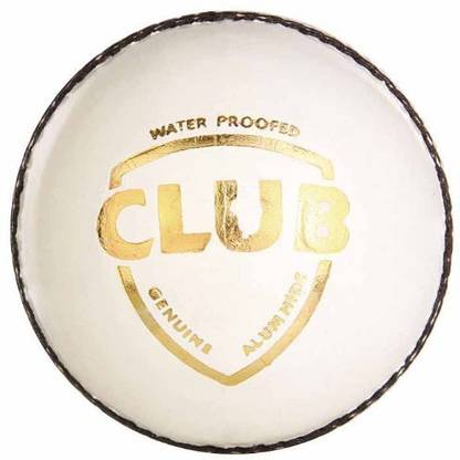 SG Club Leather Ball Cricket Leather Ball