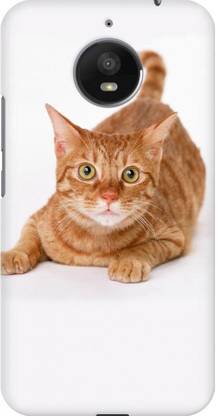 AMEZ Back Cover for Motorola Moto E4 Plus