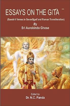 Essays on the Gita
