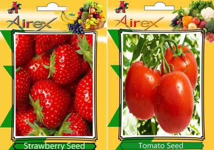 Airex Strawberry, Tomato Seed