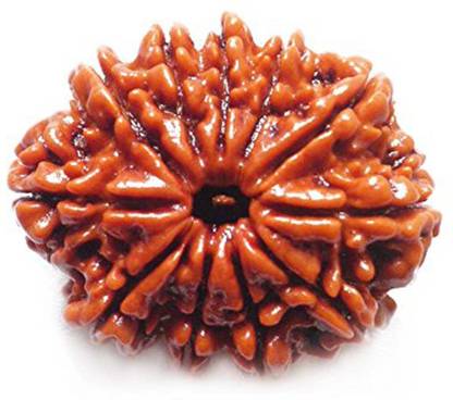 kartik gems 11 MUKHI RUDRAKSHA ( ELEVEN FACE) 100% ORIGINAL WITH CERTIFICATION Wood Pendant