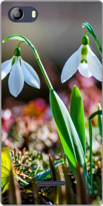 Exclusivebay Back Cover for Micromax Canvas 5 E481