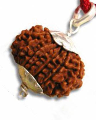 kartik gems 13 mukhi rudraksha with locket and pendant (13 face ) 100% original with certification Silver Silver Pendant