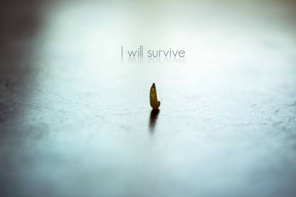 I WILL SURVIVE QUOTE POSTER Paper Print