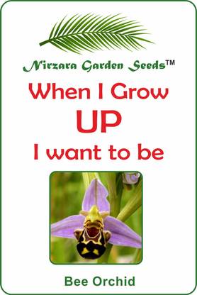Nirzara Garden Seeds Bee Orchid (Ophrys bombyliflora) - 30 Seed