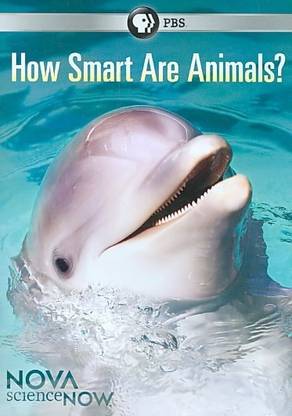 NOVA:SCIENCENOW HOW SMART ARE ANIMALS