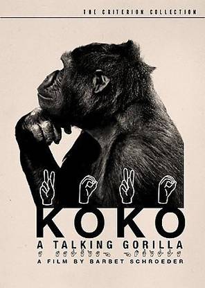 KOKO:TALKING GORILLA