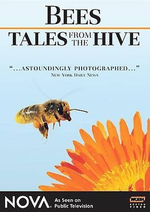 BEES - TALES FROM THE HIVE