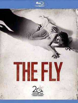 FLY
