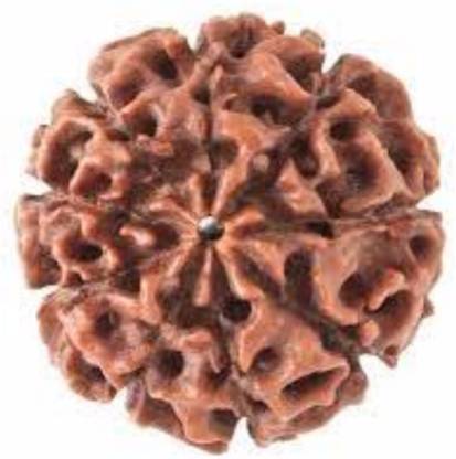 दुर्गा जेम्स 9 Mukhi Rudraksha Original Nepali beads लकड़ी