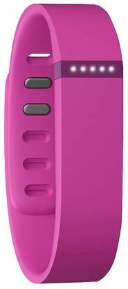 FITBIT Flex Small