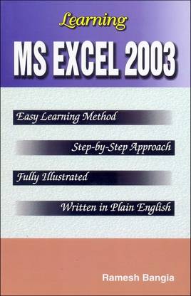 Learning Ms Excel 2003 1 Edition