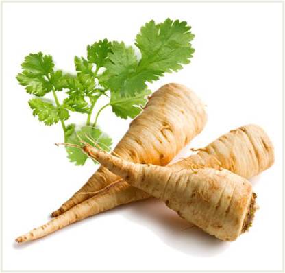 NATIONAL GARDENS Parsnip White Root Vegetable Seeds Seed