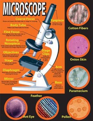 CARSON-DELLOSA Mark Twain Basic Microscope Chart (414017)