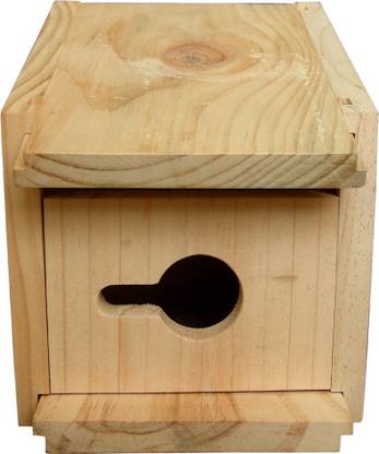Birdhousebuilder House Sparrow Bird House Bird House