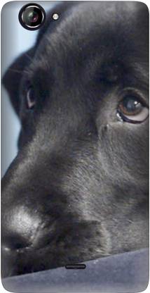 My Kitty Back Cover for Micromax Canvas Mega E353