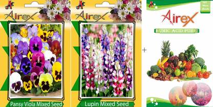 Airex Pansy Viola Mixed and Lupin Mixed Flower Seeds + Humic Acid Fertilizer (For Growth of All Plant and Better Responce) 15 gm Humic Acid + Pack Of 20 Seeds * 2 Per Packet Seed