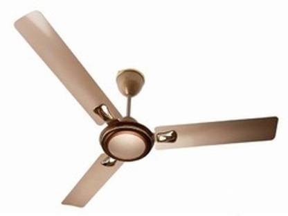 OREVA daisy with 1 Year Warranty Ceiling Fan