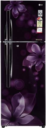LG 255 L Frost Free Double Door 3 Star Refrigerator