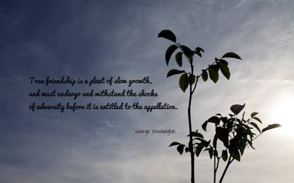 ASHD aquote-quotes-adversity Wallposter Paper Print