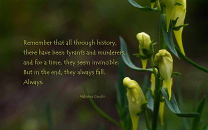 ASHD aquote-quotes-murder-tyrant Wallposter Paper Print