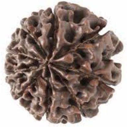 दुर्गा जेम्स 9 Mukhi Rudraksha Original Nepali beads लकड़ी