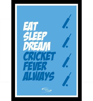 PW Cricket Fever Always Wall Poster 13*19 inches Matte Finish Paper Print