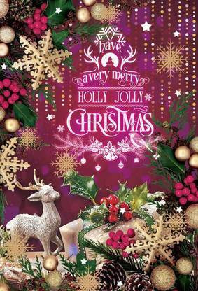 HAVE A VERY MERRY HOLLY JOLLY CHRISTMAS POSTER POSTER PRINT ON 13X19 INCHES Paper Print