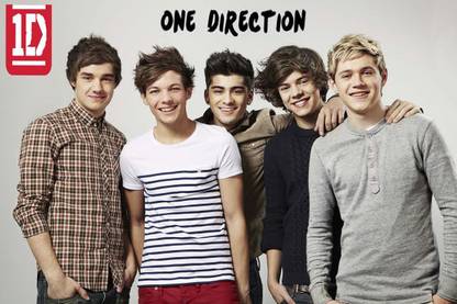 One Direction Poster POSTER PRINT ON 13X19 INCHES 3D Poster
